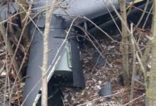 dronă găsită la Ștefan Vodă