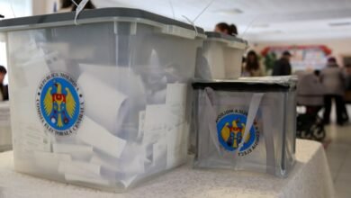 alegeri locale - imagine Elena Covalenco