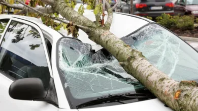 Șoferii cer despăgubiri: zeci de mașini avariate din cauza vântului puternic/depositphotos