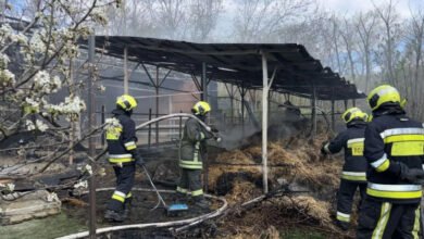 Incendiu la hipodromul din Chișinău