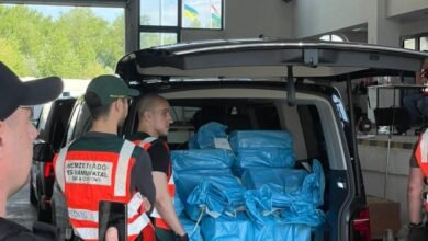 Ungaria a returnat Ucrainei 80 de milioane de dolari și aur bancar: au apărut primele imagini/eurointegration.com.ua