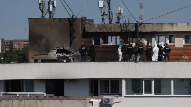 Prăbușirea unei drone rusești în România a evidențiat noi provocări pentru securitatea NATO/rbc.ru