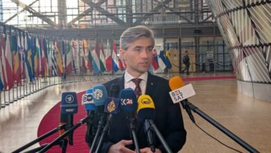 Șeful diplomației lituaniene acuză Rusia că direcționează intenționat drone ucrainene spre statele baltice / urm.lt
