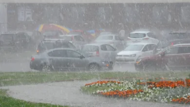 Grindina și ploile puternice au afectat mai multe raioane din Moldova: unele gospodării au fost avariate/depositphotos