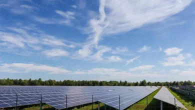 La Vadul lui Vodă va fi construit un parc fotovoltaic de mari dimensiuni cu sistem de stocare a energiei/depositphotos