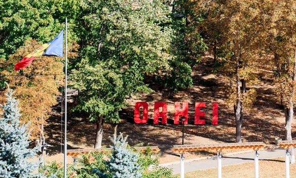 La Orhei va avea loc turul doi al alegerilor: candidatul PAS s-a clasat abia pe locul cinci/depositphotos