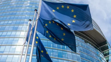 Ризя прервал выступление Майи Санду в Европарламенте выкриками «Она диктатор»/depositphotos