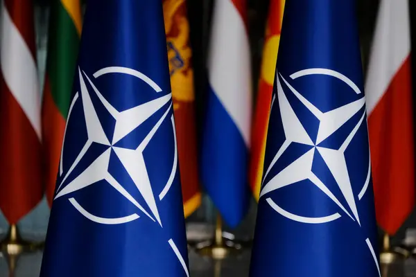Cum poate NATO ajuta Moldova în caz de criză / depositphotos