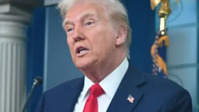 Трамп объявил 8 мая Днём победы США во Второй мировой войне / depositphotos