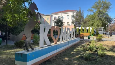 Comratul și Chișinăul pregătesc un document special pentru alegerile din Găgăuzia/depositphotos