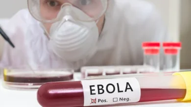 Autoritățile din Moldova au evaluat riscul apariției virusului Ebola după focarele din Congo și Uganda/depositphotos