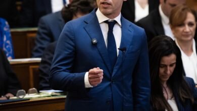 Maghiar a confirmat refuzul Ungariei de a furniza arme Ucrainei, dar a admis posibilitatea unei relansări a relațiilor cu Kievul / facebook.com / peter.magyar.102