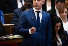 Венгрия и Украина договорились о расширении прав венгерского меньшинства / facebook.com / peter.magyar.102