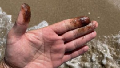 Plajele din Bulgaria, afectate de poluare cu păcură: ecologiștii cer o investigație amplă/point.md