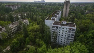 Пожары в Чернобыльской зоне ухудшили качество воздуха в Киеве/depositphotos