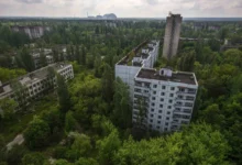 Incendiile din zona de excludere Cernobîl au afectat calitatea aerului din Kiev/depositphotos