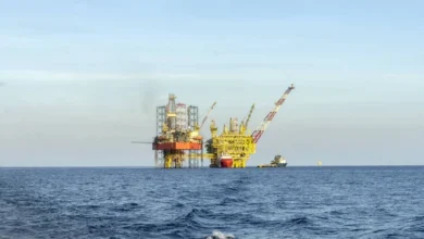 В НАТО обеспокоены угрозой атак дронов на крупнейший газовый проект Румынии в Черном море/depositphotos