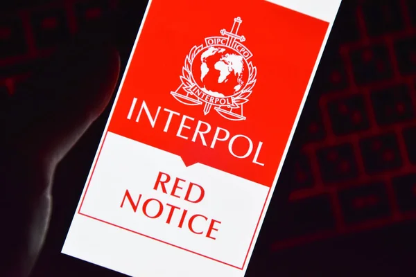 Interpolul îl caută: fostul președinte al Adunării Populare din Găgăuzia ar putea fi în Transnistria / depositphotos