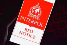 Interpol ведёт розыск: экс-глава Народного собрания Гагаузии может находиться в Приднестровье / depositphotos