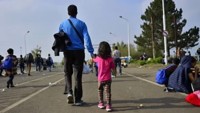 Noul Pact privind Migrația a intrat în vigoare în UE: migranții ilegali vor putea fi transferați în țări terțe/depositphotos