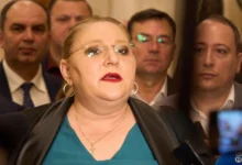Диана Шошоакэ рассказала, как познакомилась с Иланом Шором/informat.ro