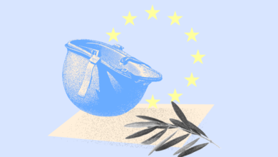 ЕС выделит Молдове рекордную помощь на укрепление системы ПВО / consilium.europa.eu