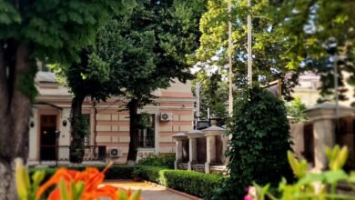 Посольство Румынии отреагировало на заявления посла Германии о языке и идентичности в Молдове / chisinau.mae.ro