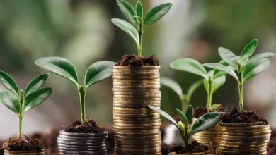 Deservirea datoriei de stat a Moldovei ar putea ajunge la 7 miliarde de lei: experții avertizează asupra presiunii tot mai mari asupra bugetului / depositphotos