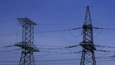 Noua celulă de 400 kV de la stația electrică Vulcănești a fost conectată cu succes la rețea/depositphotos