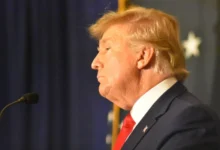 Трамп провел телефонные переговоры с Зеленским и Путиным/depositphotos