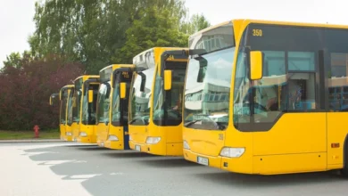 În Republica Moldova, pasagerii curselor de autobuz vor putea primi compensații pentru întârzieri și anulări / depositphotos
