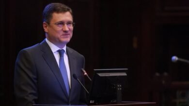 Rusia suspendă temporar exporturile de motorină pe fondul deficitului de combustibil de pe piața internă / government.ru