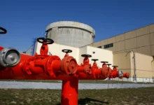 România avertizează asupra riscului opririi celui de-al doilea reactor al centralei de la Cernavodă/mediafax