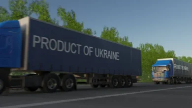 Rusia a lovit o rută terestră de export a Ucrainei în direcția Republicii Moldova/depositphotos
