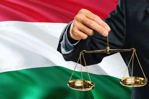 Конституционный суд Венгрии проверит законность досрочного отстранения президента/depositphotos