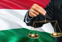 Curtea Constituțională a Ungariei va verifica legalitatea demiterii anticipate a președintelui/depositphotos