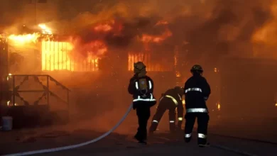 В Испании бушуют три крупных лесных пожара: эвакуировали около 800 человек/depositphotos