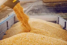 Ucraina caută o nouă arteră pentru exportul de cereale: ruta prin Moldova ar putea deveni o plasă de siguranță împotriva blocadei ruse în Marea Neagră/depositphotos