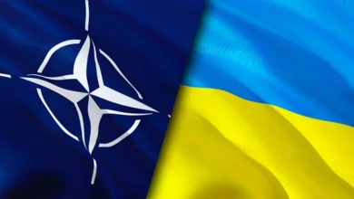 Военный комитет НАТО посетит Украину в октябре/depositphotos