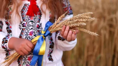 Tranzitul cerealelor ucrainene prin Moldova îi îngrijorează pe fermierii români/depositphotos