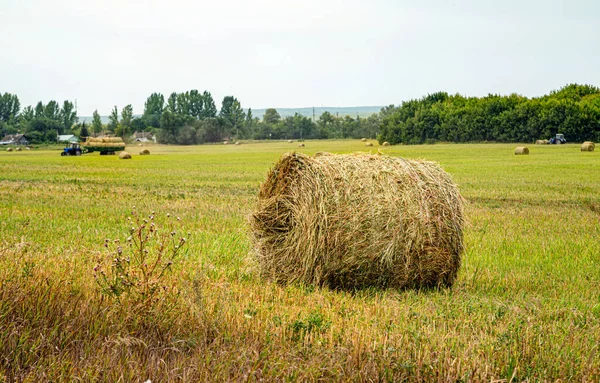 Кредиты для малых аграриев станут дешевле: ставка IFAD снижена до 7,9%/depositphotos
