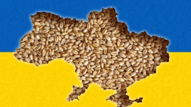 Grâul ucrainean ca instrument al manipulărilor rusești în Polonia: cum este folosită tema agricolă pentru amplificarea tensiunilor dintre cele două țări / depositphotos