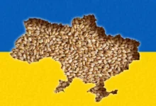 Украинское зерно как инструмент политических манипуляций в Польше: как аграрная тема используется для усиления напряженности между странами / depositphotos