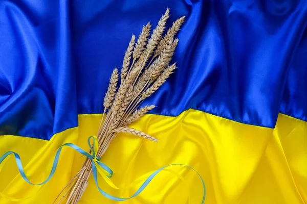 Украина обсуждает с Молдовой и другими соседями расширение «Путей солидарности»/depositphotos