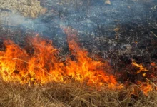 Incendiu de vegetație uscată la Chișinău: flăcările au distrus iarbă uscată și deșeuri / depositphotos