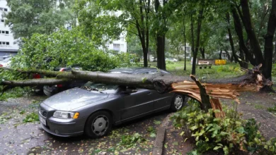 Ciclonul „Prisca” a lovit Țările Baltice și Polonia: cel puțin doi morți și sute de mii de locuințe fără energie electrică/Edijs Palens / Xinhua / ABACAPRESS.COM / Scanpix / LETA