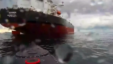 Ucraina anunță, în premieră, scufundarea unui mare portcontainer civil rusesc în Marea Neagră / social media
