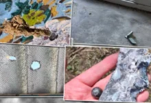 Российские дроны повреждают дома и сельхозугодья в Молдове: кто компенсирует ущерб? / point.md