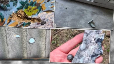 Российские дроны повреждают дома и сельхозугодья в Молдове: кто компенсирует ущерб? / point.md