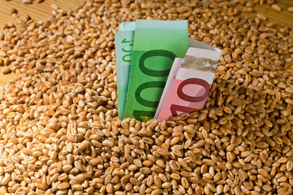 Letonia ar putea introduce taxe vamale de 300% pentru cerealele din Rusia și Belarus / depositphotos